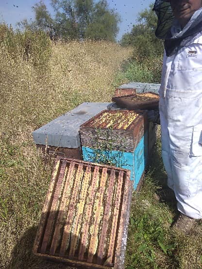 Sebastien apiculteur ferme de Puech Cabrier