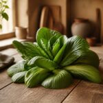 Chou pak choi frais sur plan de travail en bois